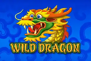Wild Dragon